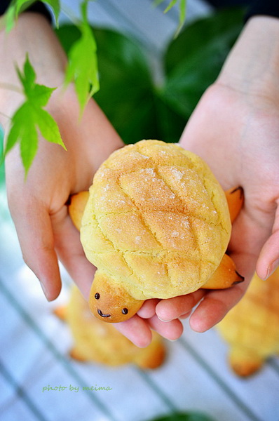 (图)小乌龟菠萝包
