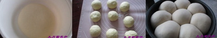 葡萄干绿豆沙小餐包的做法步骤1-3