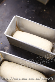 如何做起司洛夫面包