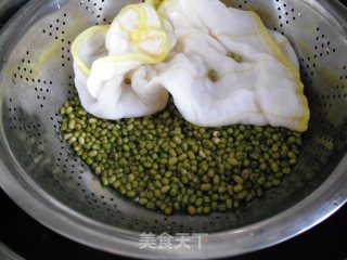 如何在低温季节生发绿豆芽的做法步骤：3